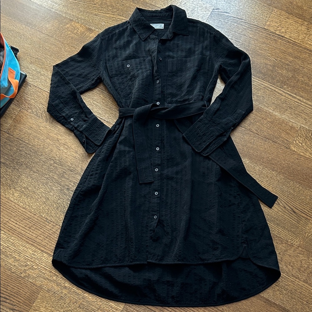 Everlane Black Shirt Dress